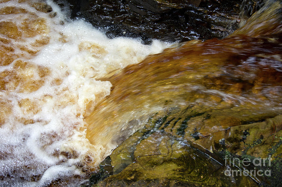 Fast-flowing Stream Photograph by Mark Williamson/science Photo Library