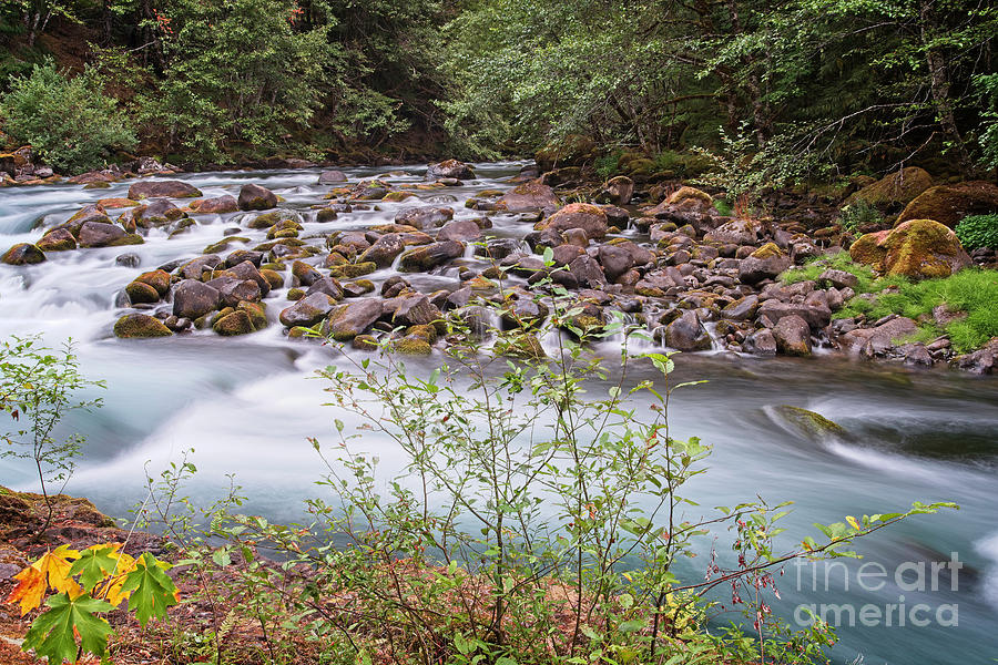 Fast Water by Craig Leaper Fast Water by Craig Leaper
