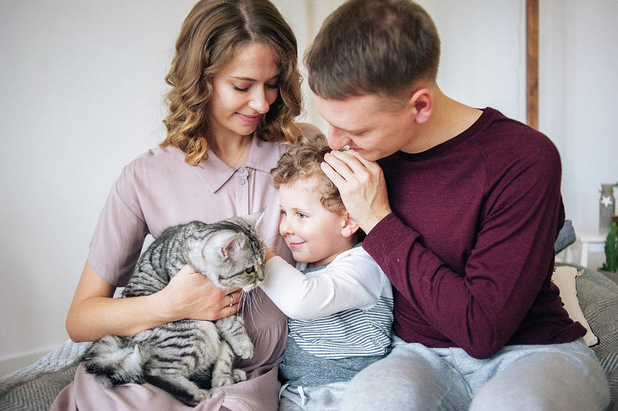 Father And Mother Hold Their Son And Cat On Hands. Tender Moment ...