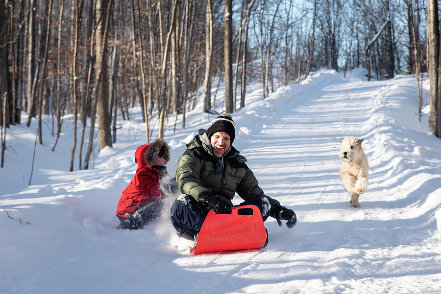 Tree Photograph - Father And Son Sledding Down Snowy Hill With Their Dog On Winter Day. by Cavan Images