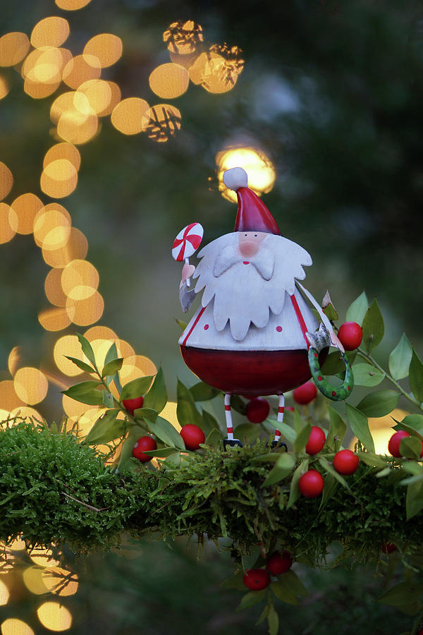 Father Christmas Figurine Arranged In Butchers Broom And Moss Photograph by Angelica Linnhoff