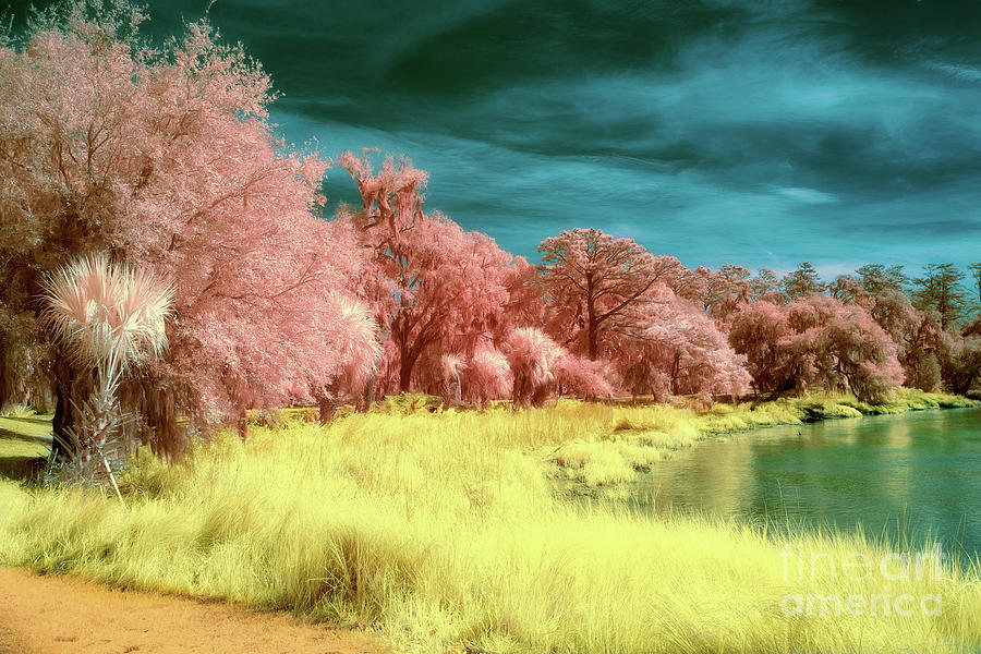 Faux color landscape Photograph by Izet Kapetanovic