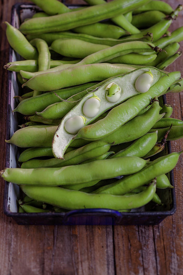 Fava Beans In An Old Tray Photograph by Eising Studio