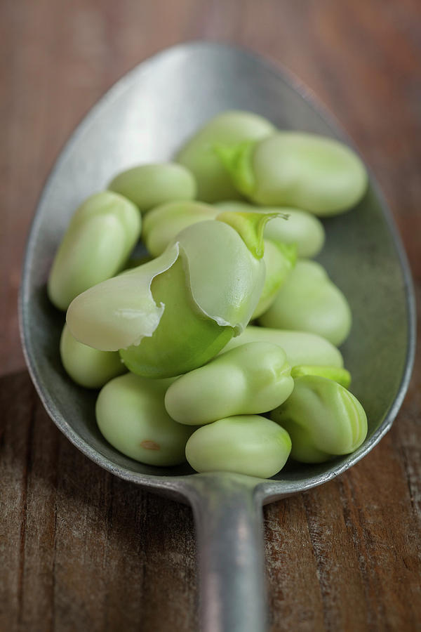 Fava Beans On A Spoon close Up Photograph by Eising Studio