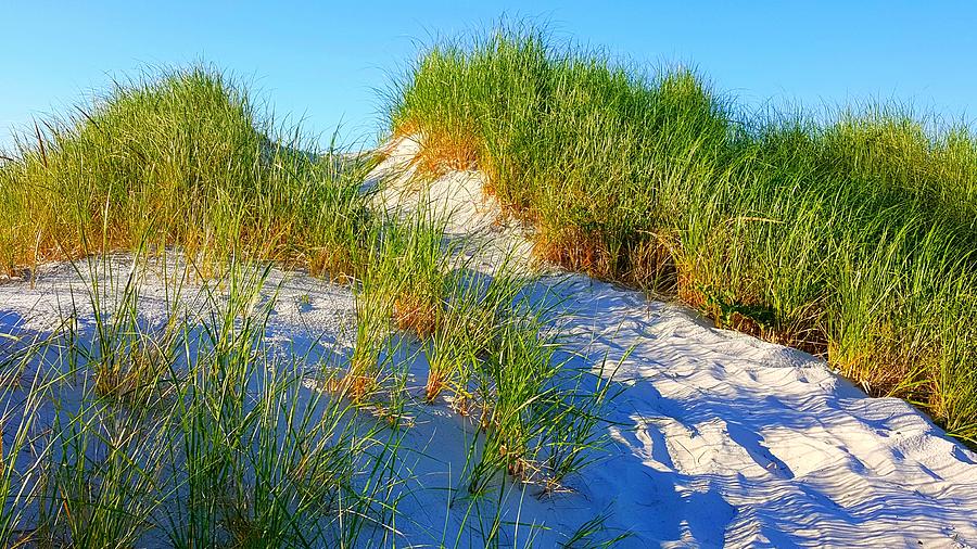 Favorite Pathway Photograph by Harriet Harding - Fine Art America