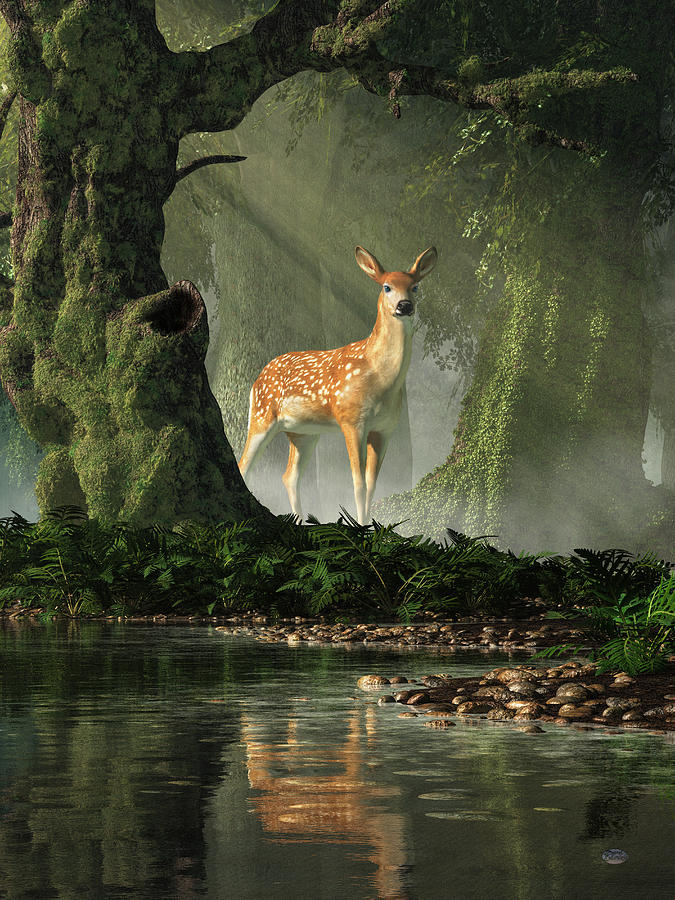 Fawn in the Forest Digital Art by Daniel Eskridge
