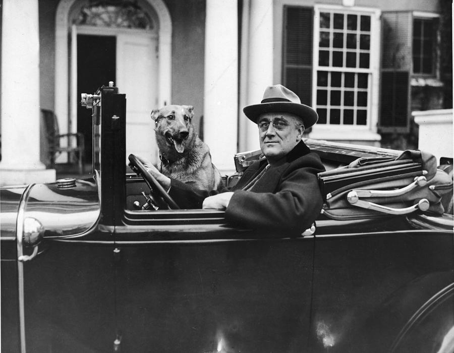 Fdr Behind The Wheel Photograph by Fpg