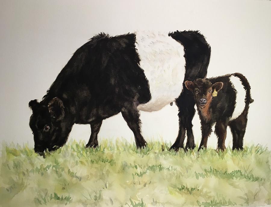 Fearrington Belted Galloway Cows by Kathy Flood Fearrington Belted Galloway Cows by Kathy Flood