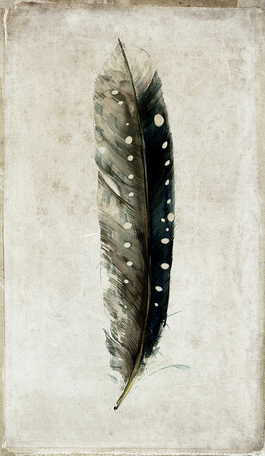 Feather 2 Mixed Media by Symposium Design - Fine Art America