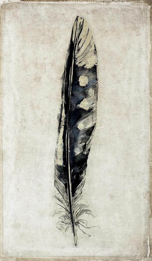 Feather 3 Mixed Media by Symposium Design - Fine Art America