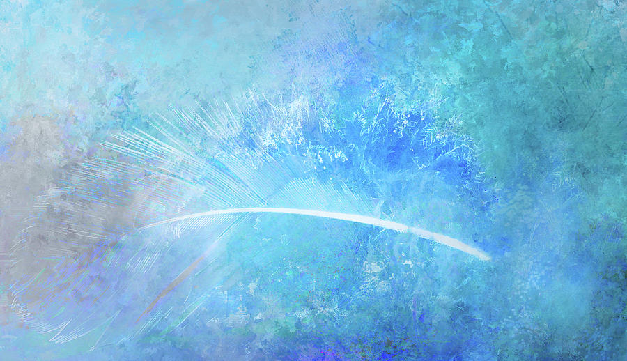 Feather Abstraction on Blue Digital Art by Terry Davis