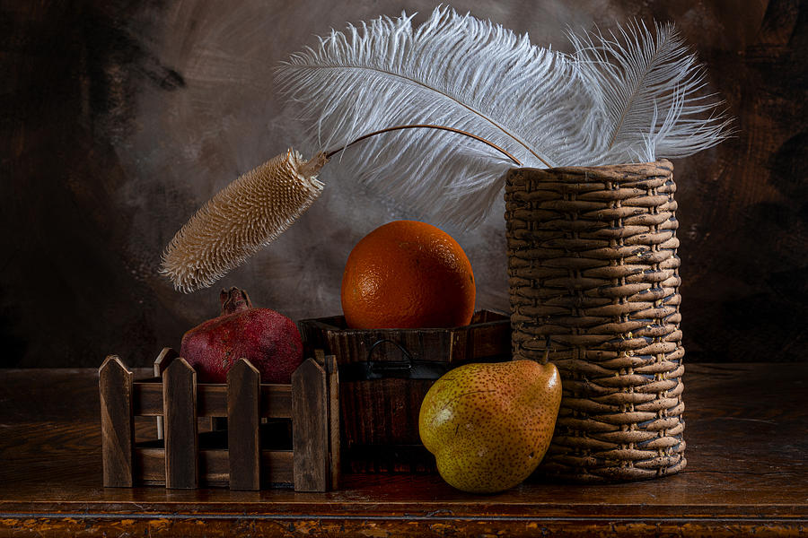 Fruit Photograph - Feather & Fruits by Nilotpal Chatterjee