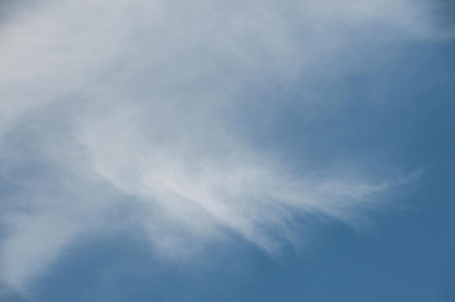 Feather cloud by Kathleen Gauthier Feather cloud by Kathleen Gauthier
