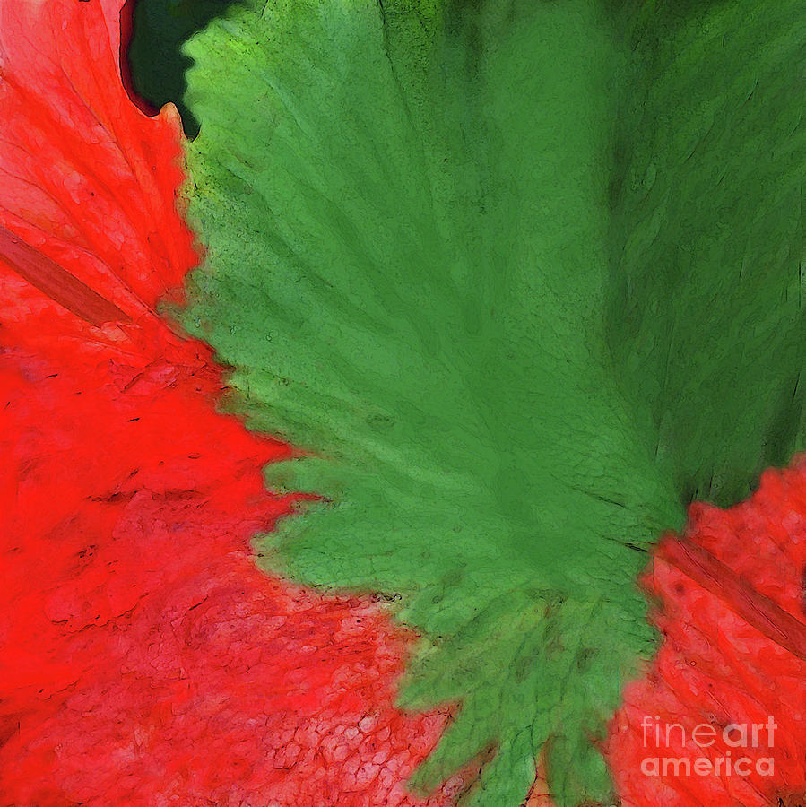 Feather Dancer Red and Green Mixed Media by Sharon Williams Eng