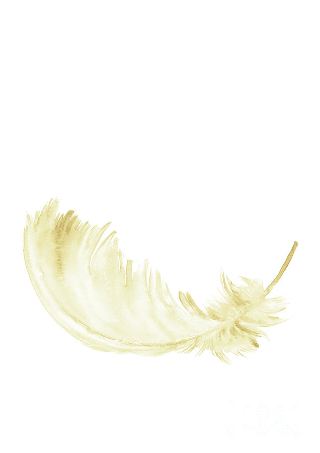 Gold feathers watercolor painting Art Print by Joanna Szmerdt - Fine Art  America
