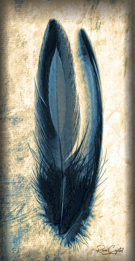 Feather Of A Blue Hue Photograph by Rene Crystal