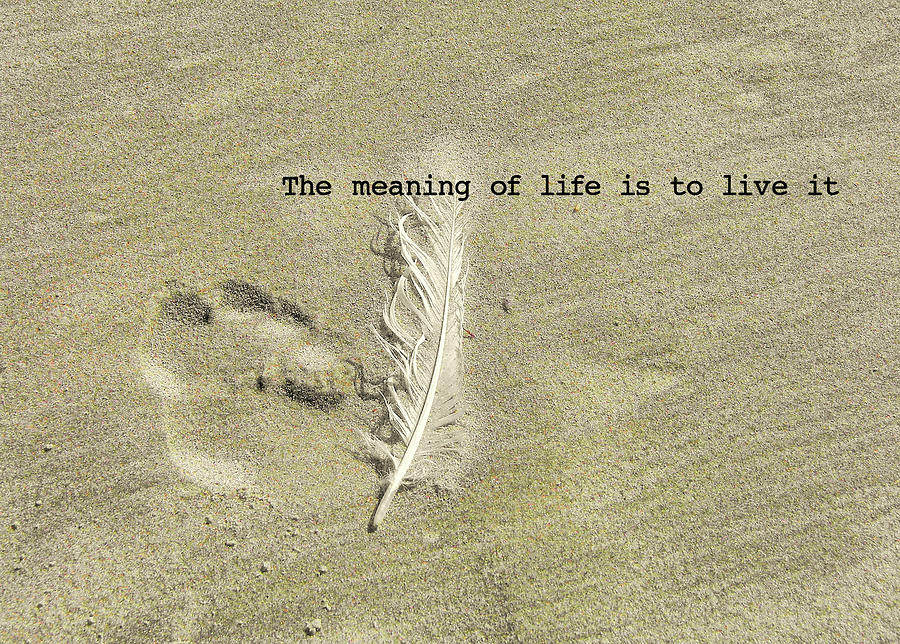 FEATHER PRINT quote Photograph by JAMART Photography