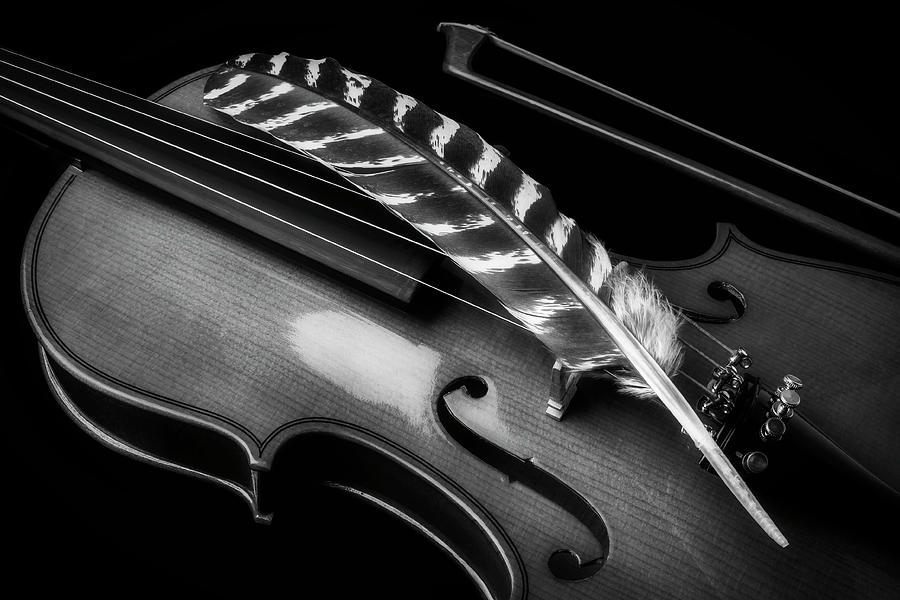 Feather Resting On Violin Black And White Photograph by Garry Gay