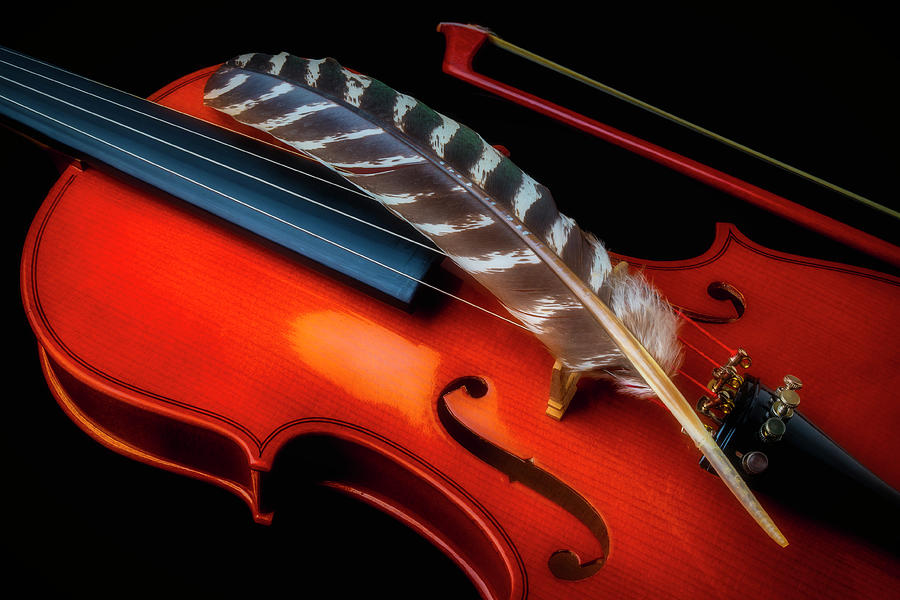 Feather Resting On Violin Photograph by Garry Gay