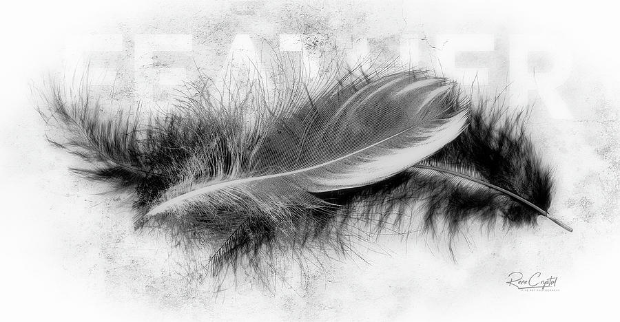 Feather Soft Photograph by Rene Crystal