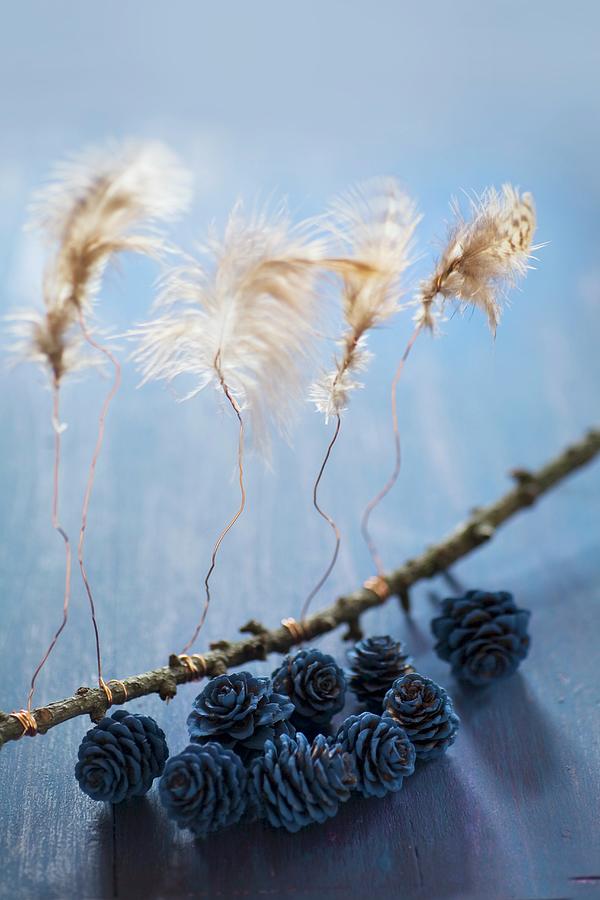 Feathers Attached To Twig With Wire And Painted Larch Cones Photograph by Alicja Koll