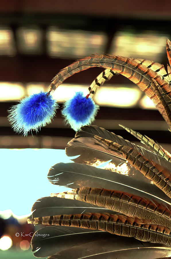Feathers of a Headdress Photograph by Kae Cheatham