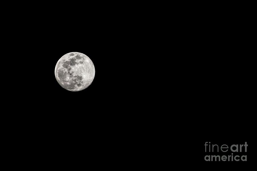 February Full Worm Moon Photograph by Jon Burch Photography