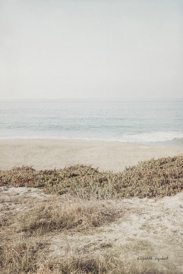 Beach Photograph - February Morning II by Elizabeth Urquhart