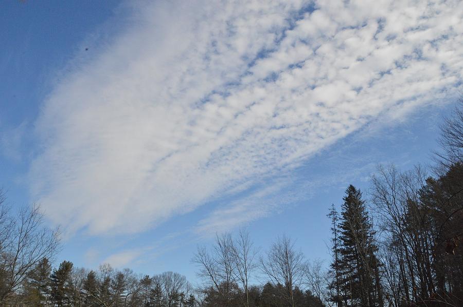 February Sky Photograph By Deborah Hochhauser - Fine Art America