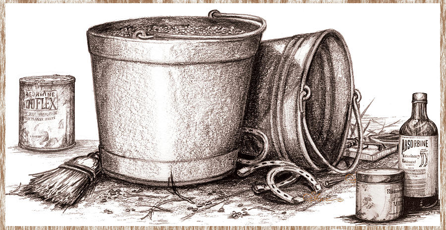 Barn Painting - Feed Buckets by Sher Sester
