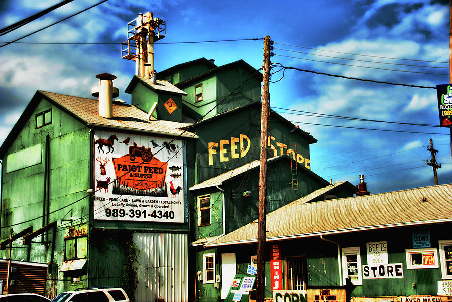 Feed store, rural Michigan Photograph by Bill Jonscher