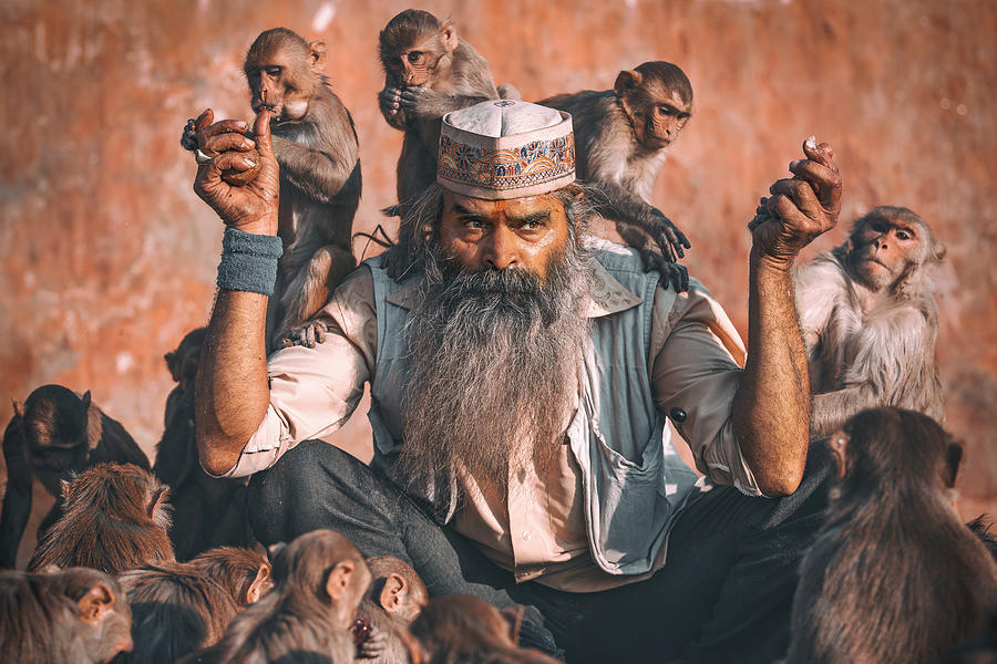 Documentary Photograph - Feeding Monkeys by Milton Louiz