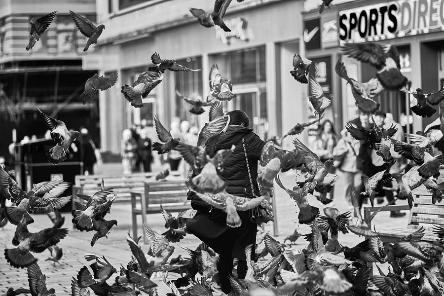 Pigeon Photograph - Feeding The Pigeons by Enrico