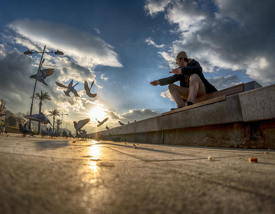 Sunset Photograph - Feeding The Seagulls by Bari