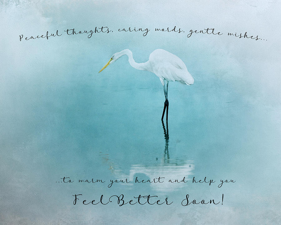 Feather Photograph - Feel Better 1 by Rosette Doyle
