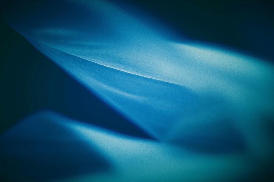 Feelings of Blue Photograph by The Art Of Marilyn Ridoutt-Greene