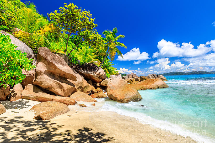 Felicite Island Seychelles Photograph by Benny Marty