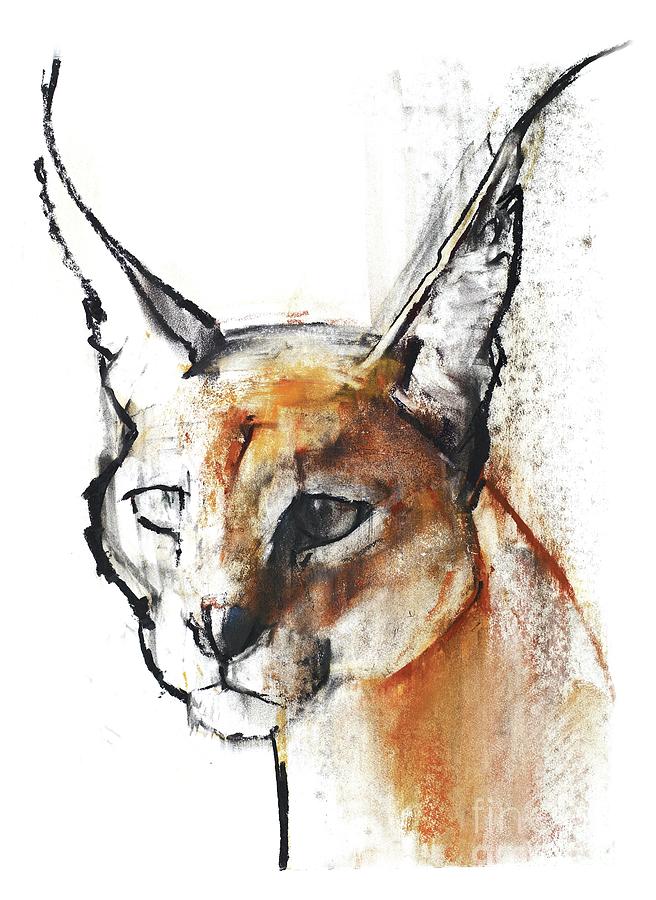 Feline Arabian Caracal, 2009 Conte And Charcoal On Paper Painting by Mark Adlington