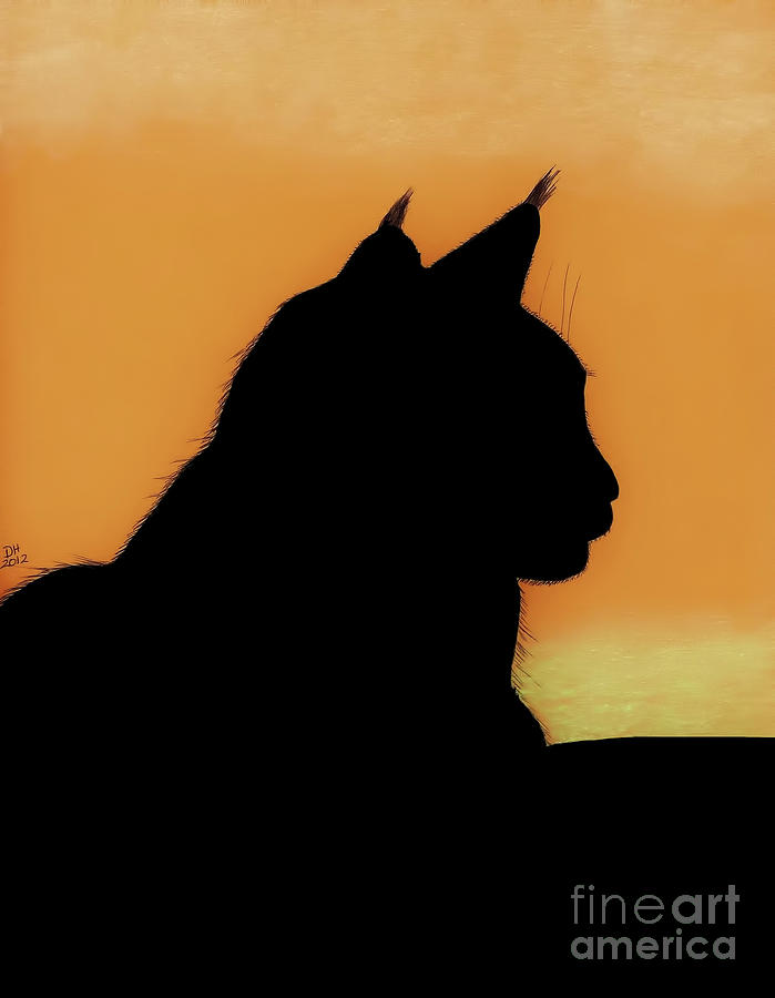 Cat Drawing - Feline - Sunset by D Hackett