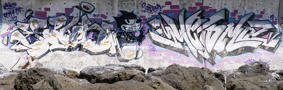 Felix Graffiti Photograph by Eric Hafner