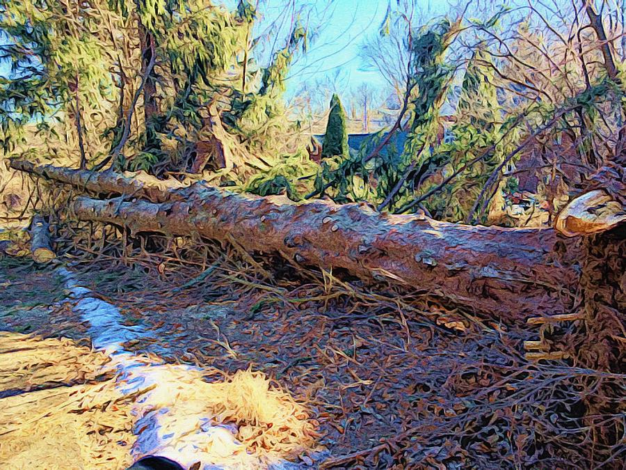 Felled Tree after the Storm Digital Art by Steve Glines