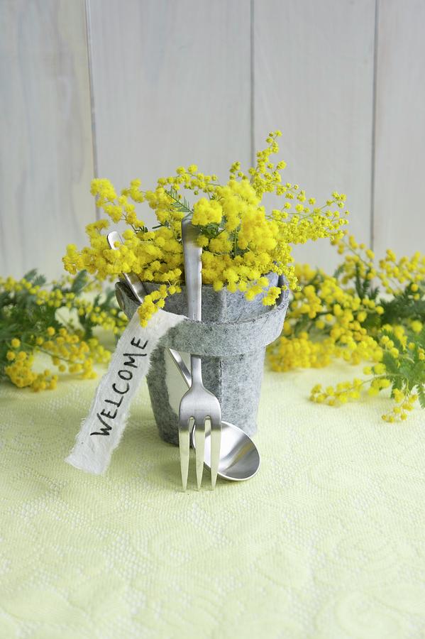 Felt Pot Of Mimosa With Motto And Cutlery Photograph by Martina Schindler