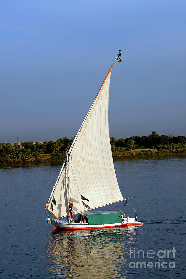 Felucca With White Sails, Sailing Along The Nile River - Egypt Photograph