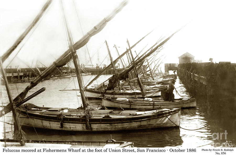 San Francisco Photograph - Feluccas at Fishermans Wharf, Foot of Union Street, San Franc by Monterey County Historical Society
