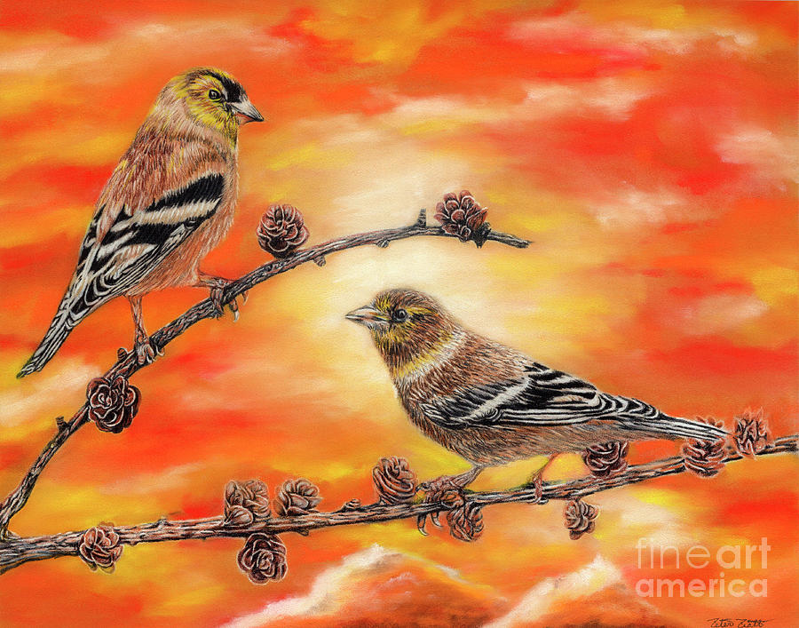 Finch Painting - Femal American Goldfinch  by Peter Piatt