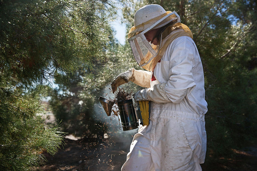 Tree Photograph - Female Beekeeper Using Beehive Smoker While Working by Cavan Images