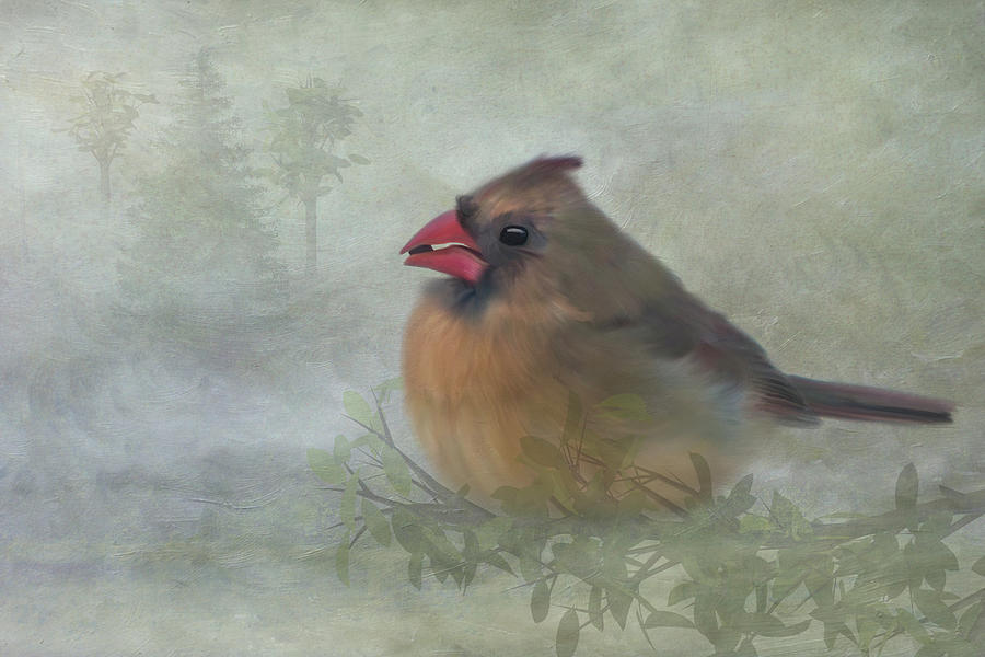 Female Cardinal with Seed Photograph by Patti Deters