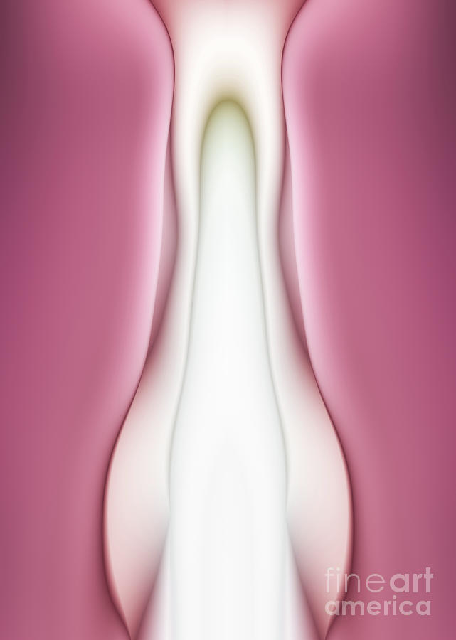 Female Genitals Abstract Design Photograph by Xuanyu Han