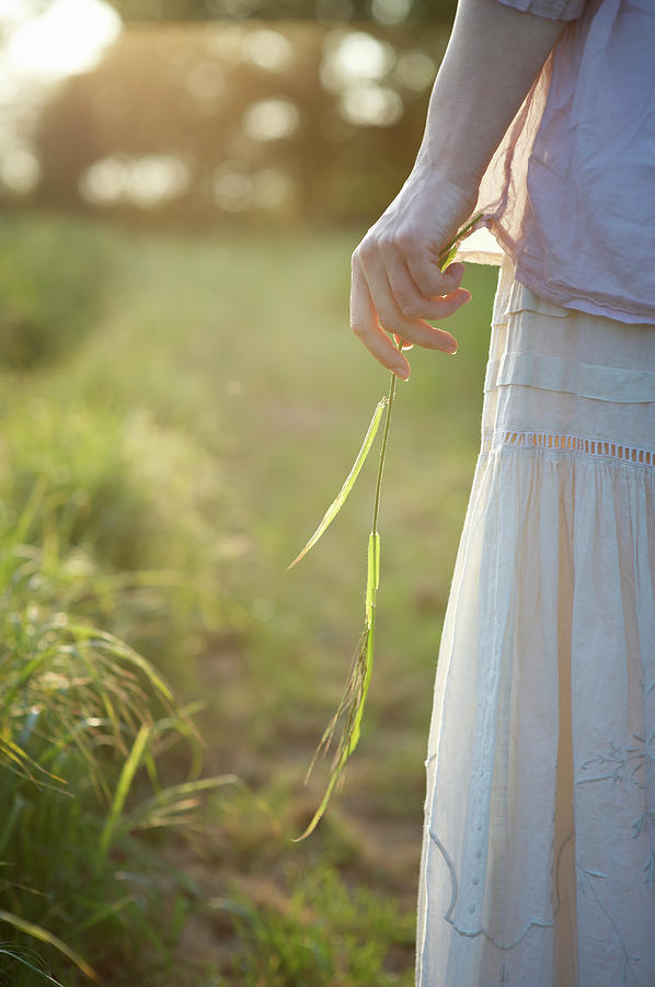 Female Hand Holding Grass In Photograph by Dougal Waters