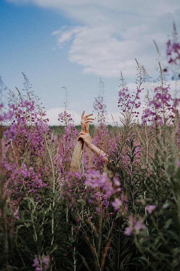 Flower Photograph - Female Hands Among A Blooming Field by Cavan Images